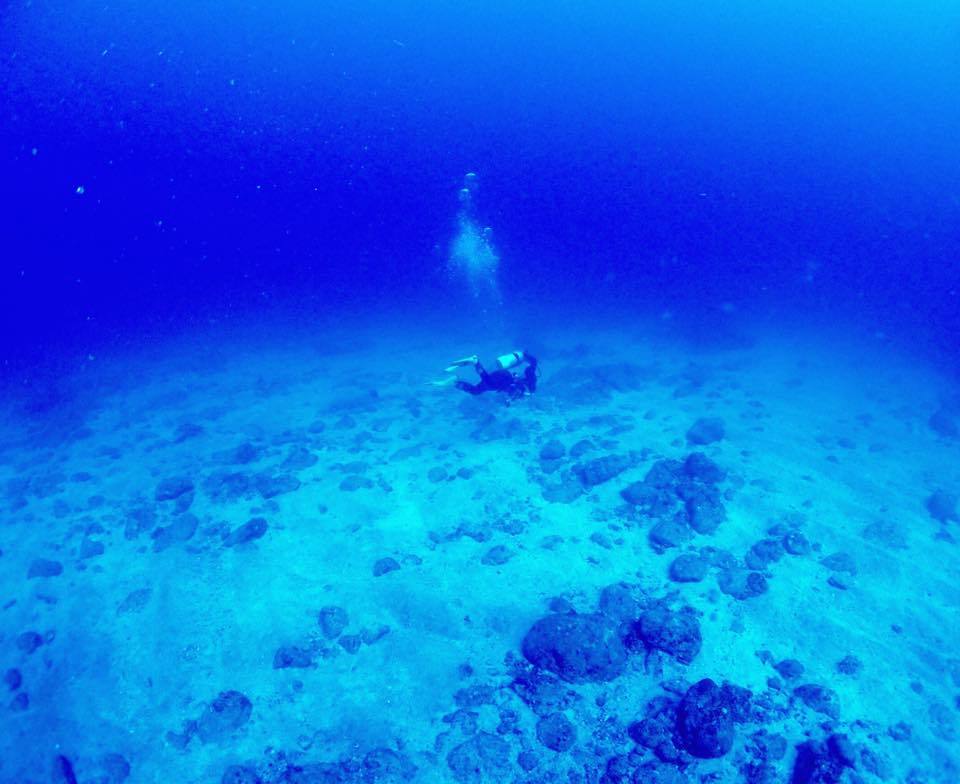e0115199_20114766.jpg