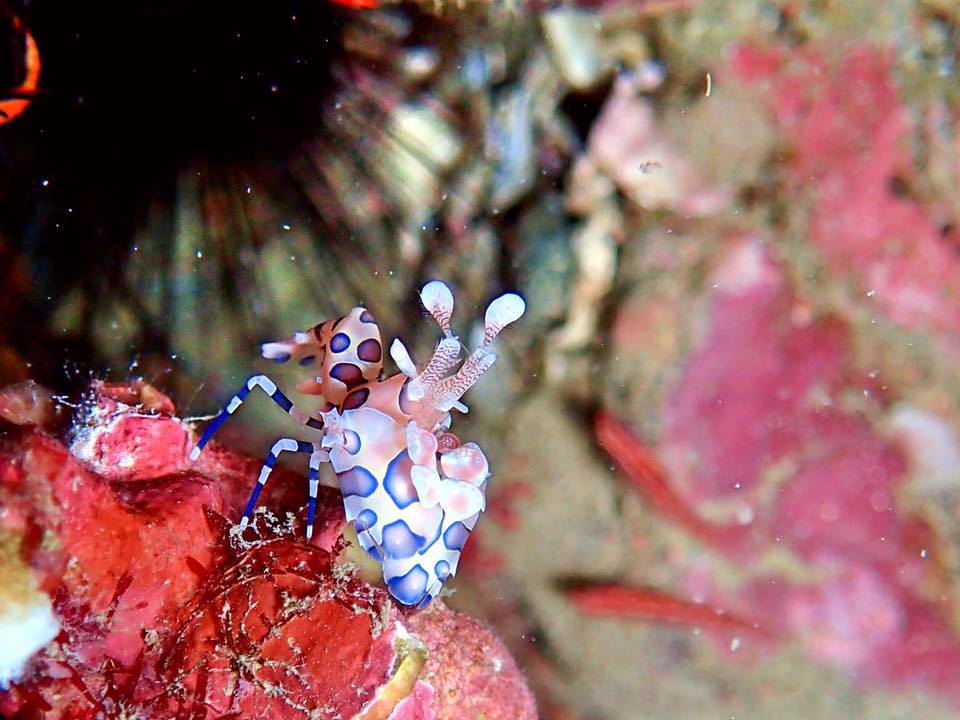 e0115199_20120098.jpg