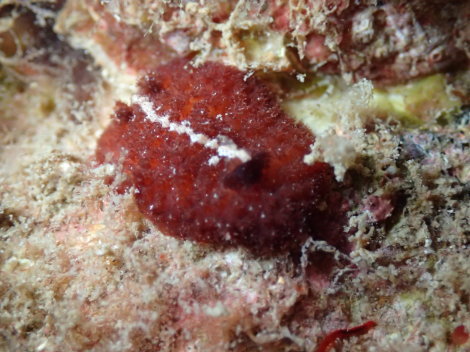 e0115199_20410237.jpg