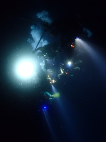 e0115199_20460103.jpg