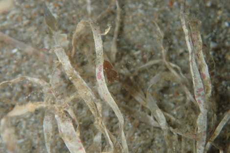 e0115199_20482492.jpg