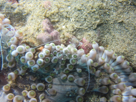 e0115199_20544705.jpg