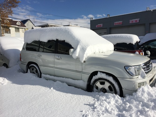 11月6日（日）本日大雪なり！バタバタなＴＯＭＭＹ本店のマサブロヽ(^o^)丿_b0127002_20574342.jpg