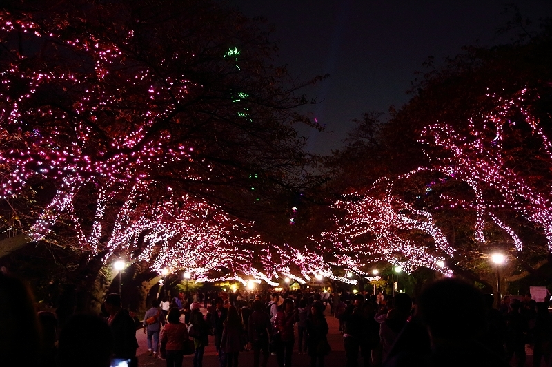 光と出会う！　光と遊ぶ！　あかりパーク２０１６（上野公園噴水広場）_b0291402_09110737.jpg