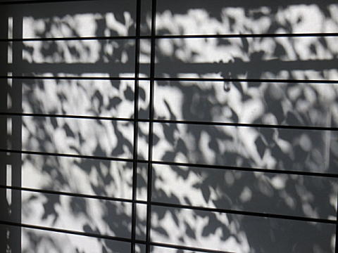 d0046702_534283.jpg