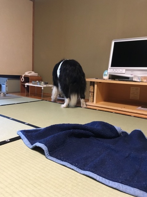 f0034602_20402905.jpeg