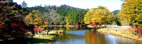 f0266202_19113484.jpg