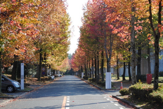 f0361605_21552217.jpg