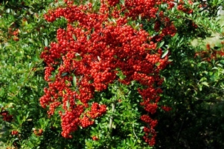f0361605_22010347.jpg