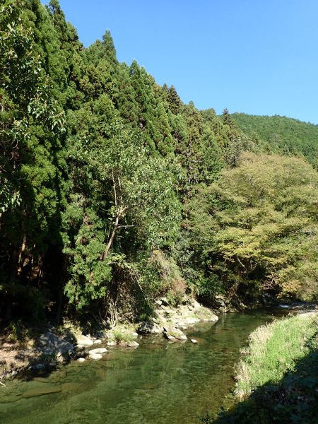 c0367107_08061936.jpg
