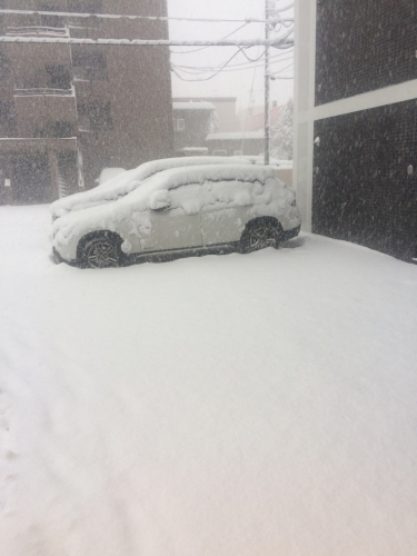吹雪…_a0167308_19475011.jpg