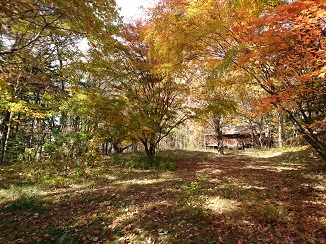 d0091909_1634570.jpg
