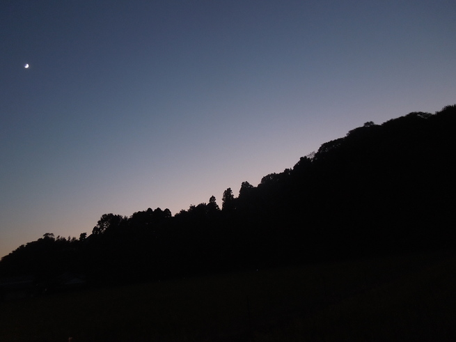 f0297809_08437.jpg
