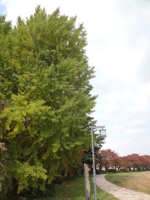 c0279611_1191788.jpg