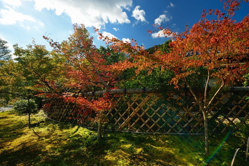  2016京都の紅葉＠鷹峯　光悦寺_f0032011_14051326.jpg