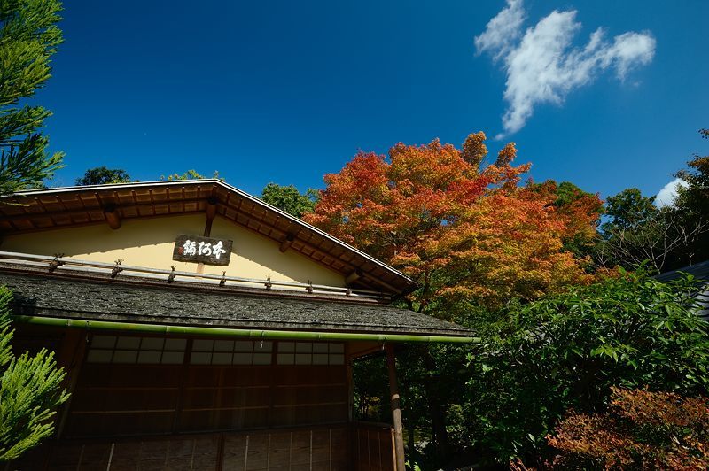  2016京都の紅葉＠鷹峯　光悦寺_f0032011_14051438.jpg