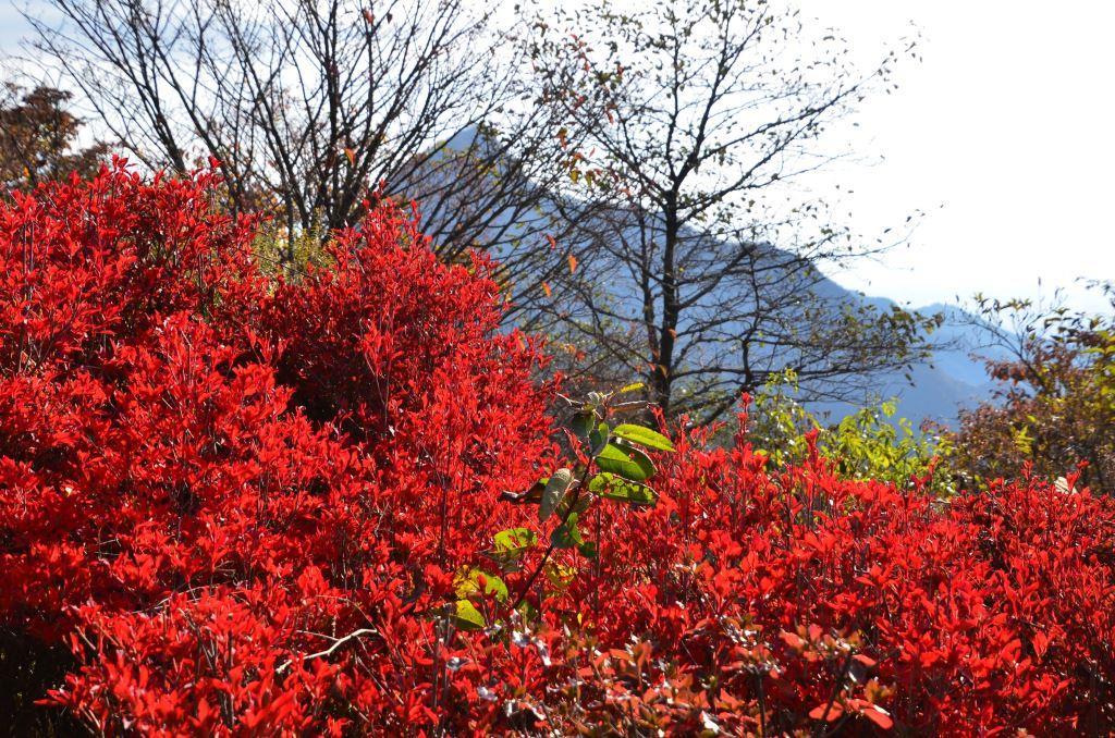 2016/10/30 榛名富士ー烏帽子岳ー掃部ヶ岳ー榛名湖　_a0340812_19355360.jpg