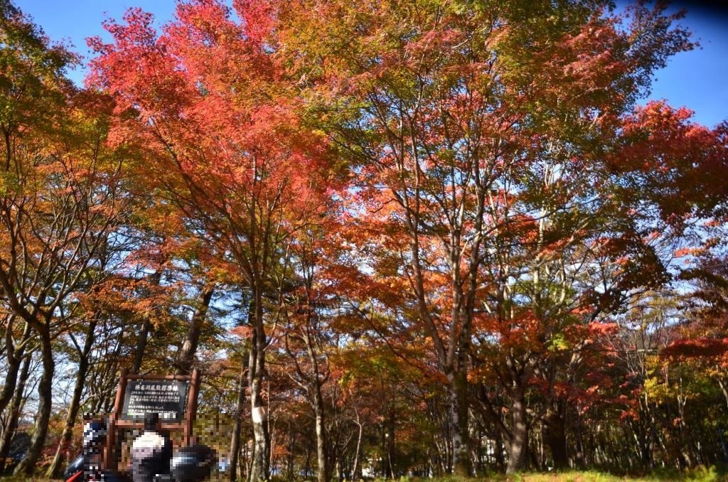 2016/10/30 榛名富士ー烏帽子岳ー掃部ヶ岳ー榛名湖　_a0340812_19360517.jpg