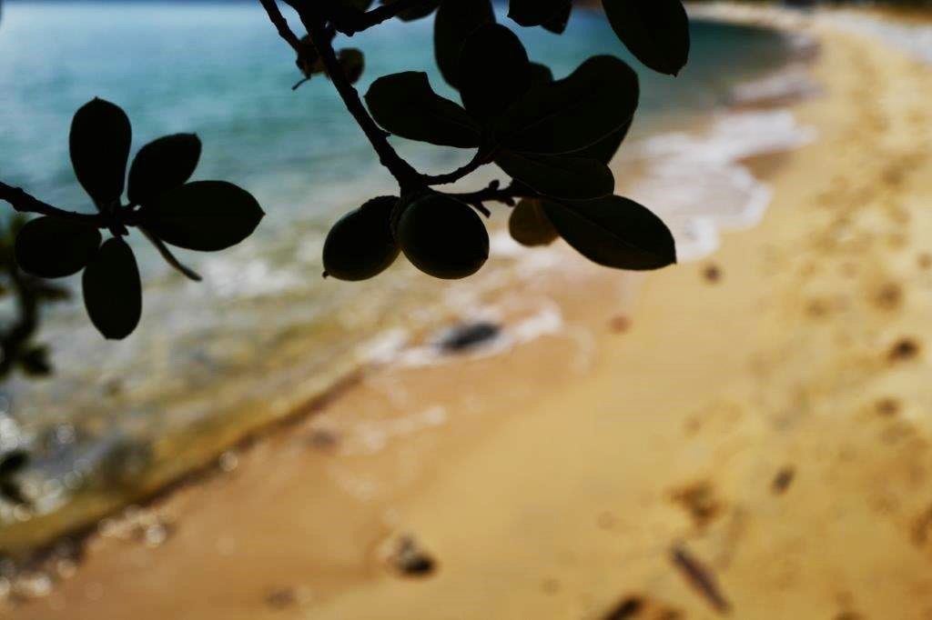 f0365212_09514166.jpg
