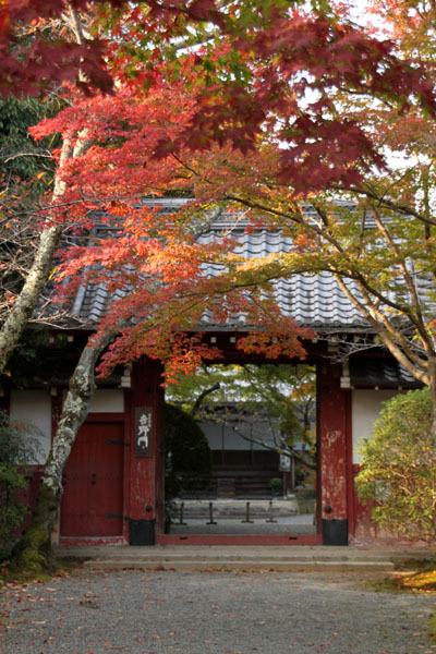 紅葉探訪1 常照寺_e0048413_1732273.jpg