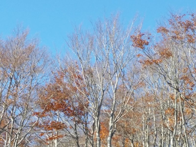f0357714_16531192.jpg