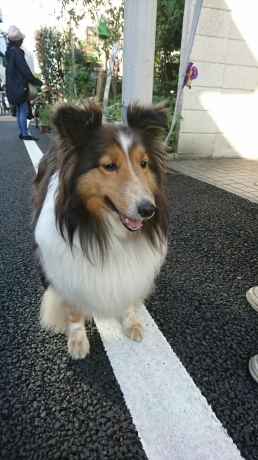 b0274815_22425822.jpg