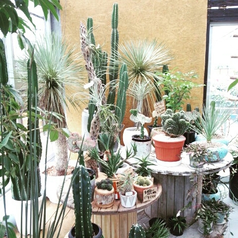 c0307615_22524702.jpg