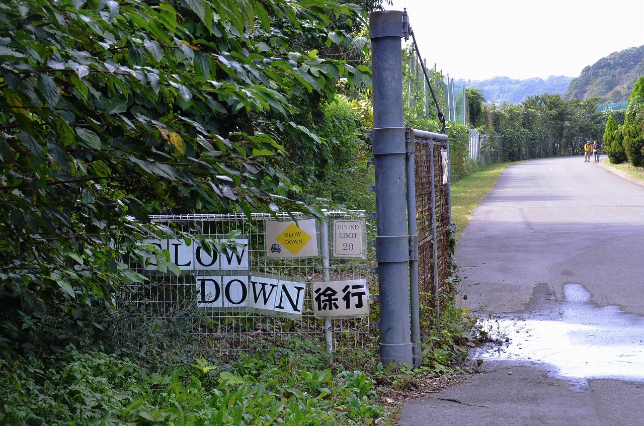 池子の森 2 _d0065116_19434976.jpg