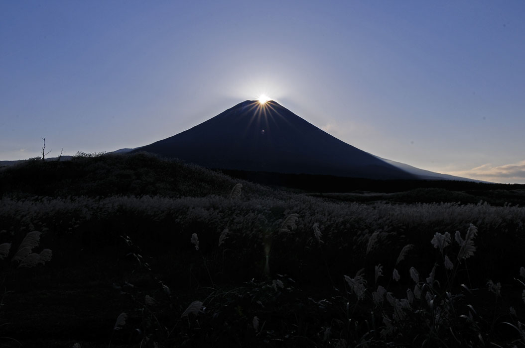 f0206417_12491448.jpg