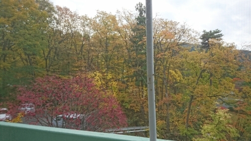 f0182618_09023778.jpg