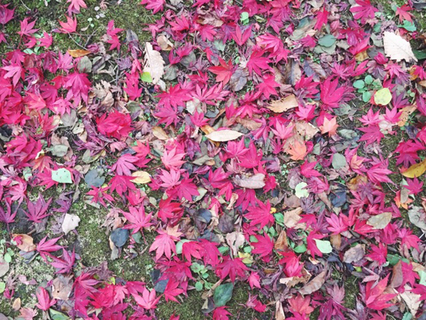 e0233220_13283229.jpg