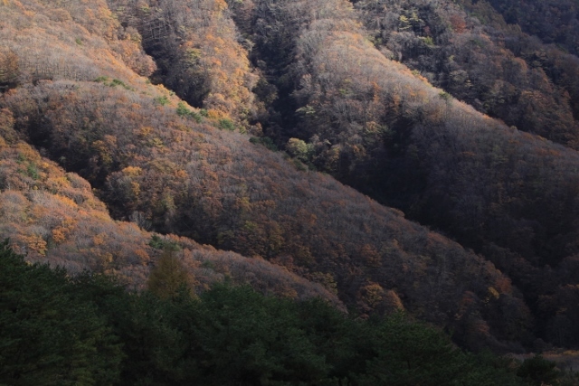 e0242721_09053126.jpg