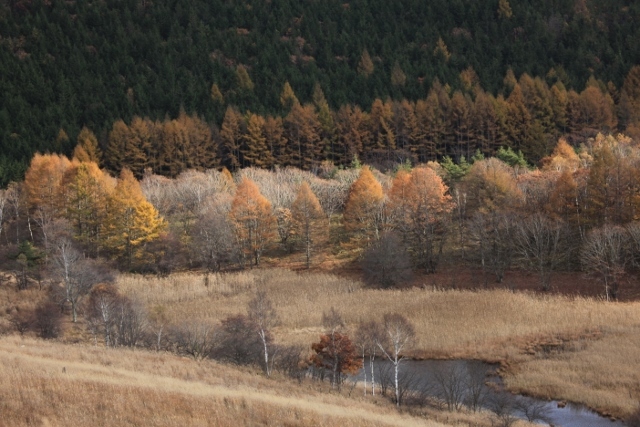 e0242721_09073914.jpg
