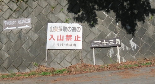 c0013922_09032933.jpg