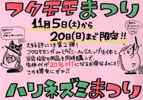 161105 インコ・フィンチ_f0189122_934419.jpg