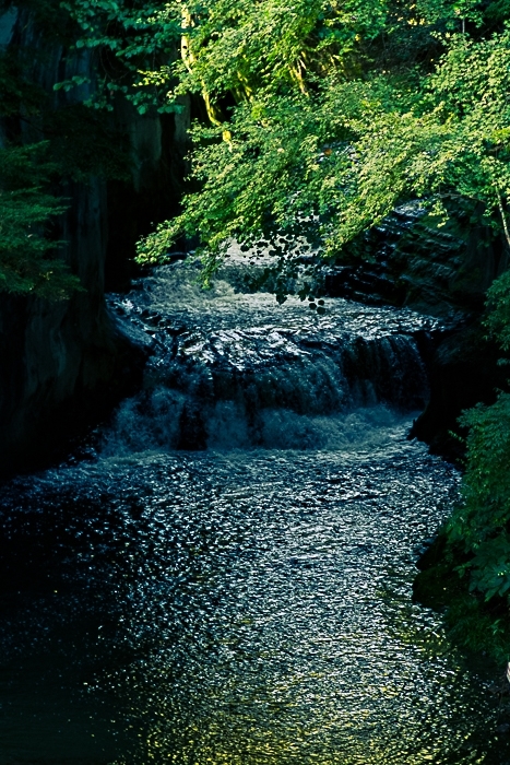d0247228_14054089.jpg