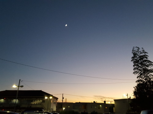 e0016828_10490280.jpg