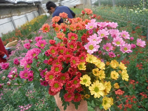 e0120932_22561739.jpg