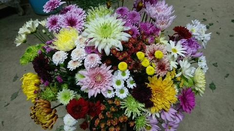 e0120932_22591625.jpg