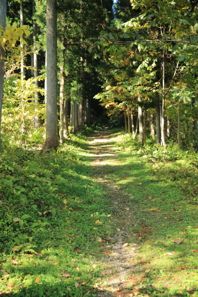 f0229832_09465279.jpg