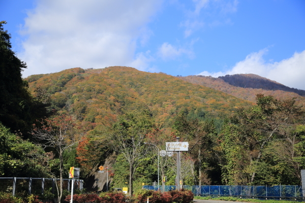 f0229832_09471404.jpg