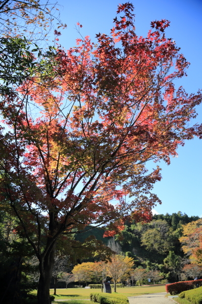 f0229832_09481482.jpg