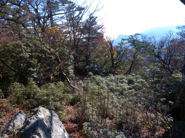 e0272335_5483497.jpg