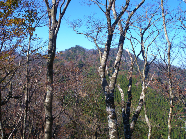e0272335_5592342.jpg