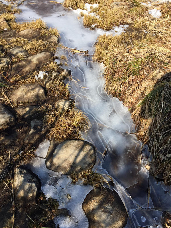 初雪の山を歩く 4_c0225536_06435210.jpg