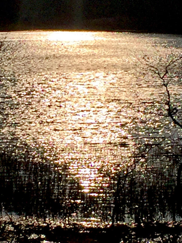 c0225536_17490682.jpg