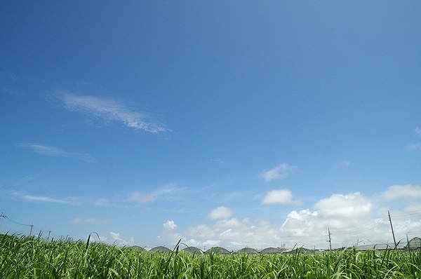 f0182936_20054540.jpg