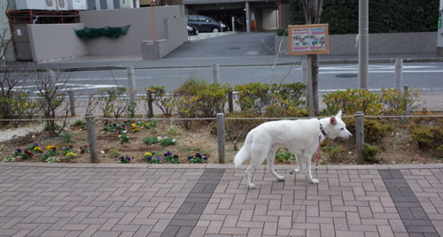 a0117039_2043257.jpg