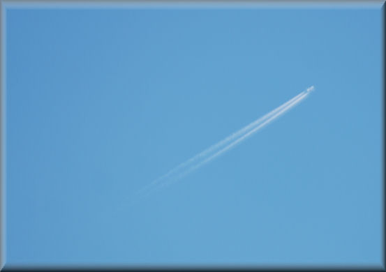 f0363141_22211293.jpg