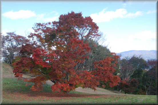 紅葉2016　＠大峰高原_f0363141_22272.jpg